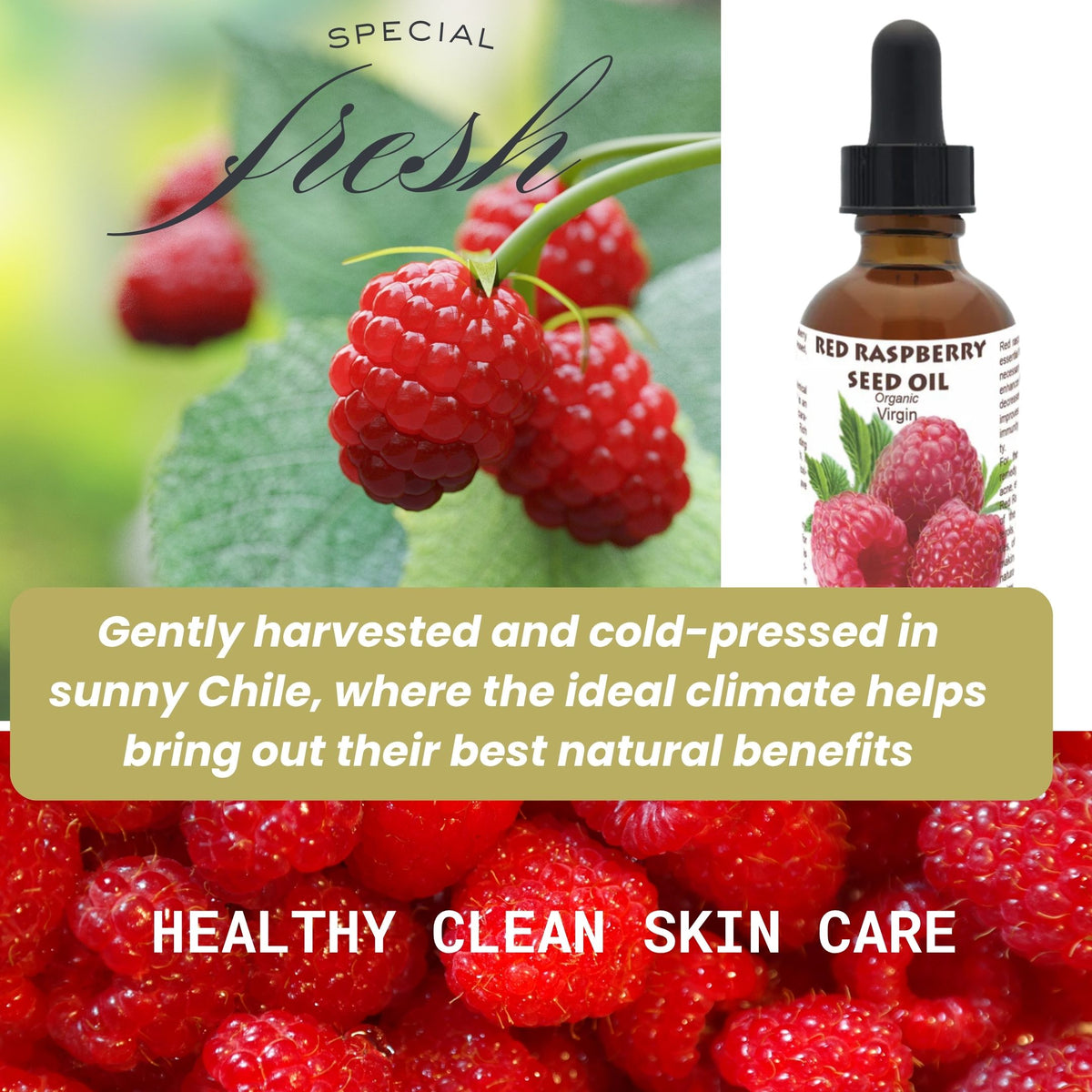 Red Raspberry Seed  Oil (Organic, cold pressed, unrefined)